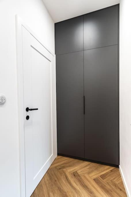 Myslbekova 5 Apartment Ostrava Bagian luar foto