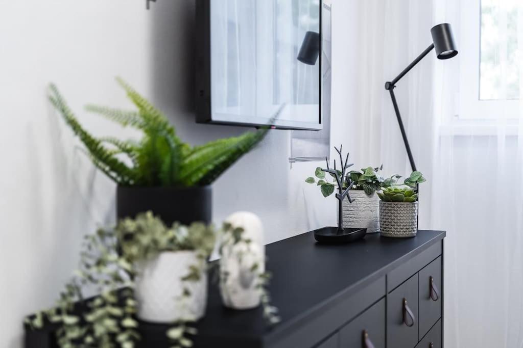 Myslbekova 5 Apartment Ostrava Bagian luar foto